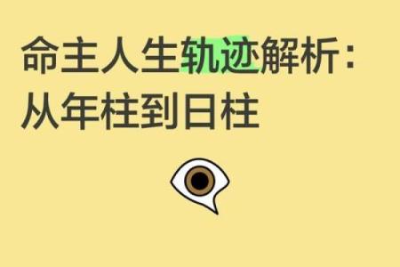 根据出生月份解析命运：揭示你的命格与人生之路