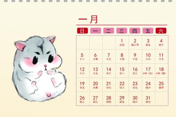 2020鼠年 命运与运势的完美融合，探寻你的命格之路