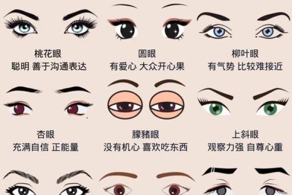 揭秘大富大贵命的面相特征，教你一眼辨别命格之由！