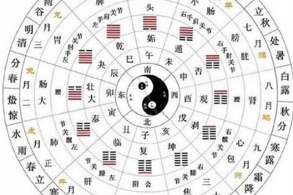 探秘兔年正月时辰，解读命运的奥秘与玄机