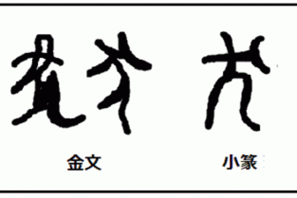 探寻辛亥日出生狗年的命理玄机：狗年命主的特性与运势解析