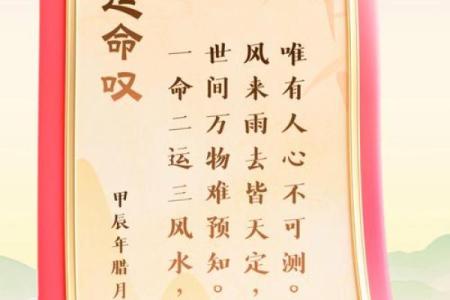 一命二运中的“一命”：生命的奥秘与我们命运的交织
