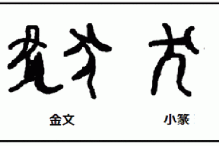 探寻辛亥日出生狗年的命理玄机：狗年命主的特性与运势解析