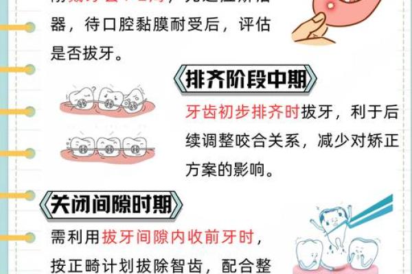 牙齿27颗的命运解析：他们背后的秘密与启示