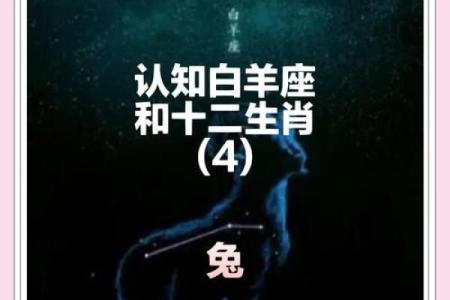 1988年属兔人的命运与性格分析：温柔智慧的兔子如何优雅前行