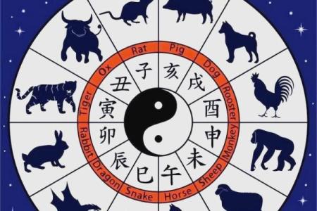 贪财爱命，生肖中的性格隐喻与启示