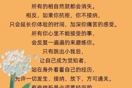 熟能生巧：从磨练中领悟生活真理