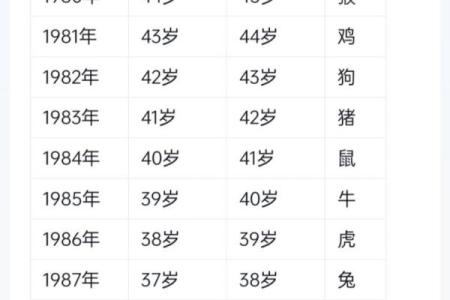 88年龙女命理解析：人生运势与2023年的机会与挑战