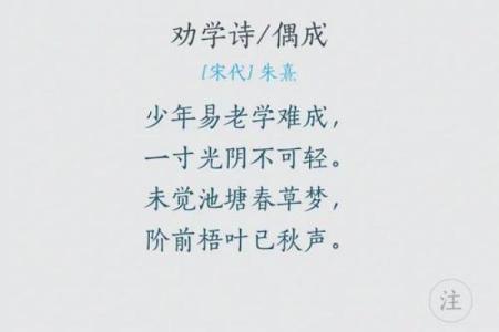 揭秘2017腊月十四的命理特征与人生启示