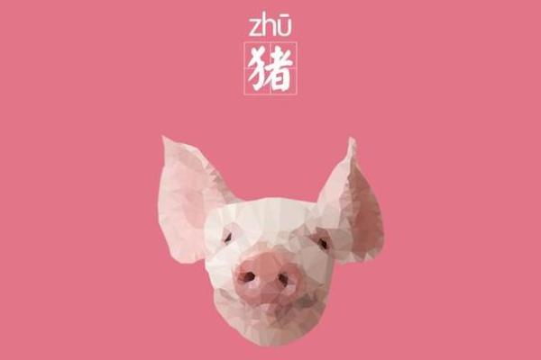 属猪辰时男孩命理解析：幸福与挑战的双重图谱