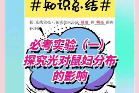 探索内心深处的奇幻旅程——心念如何影响我们的生活