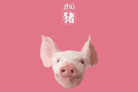 属猪辰时男孩命理解析：幸福与挑战的双重图谱