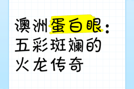 火龙命的人喜欢的颜色：探寻五彩斑斓的内心世界