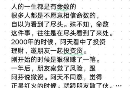 命茶甚急的深意与启示：探寻人生的珍贵时间