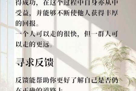 辛酉命运解析：憧憬与现实之间的智慧人生