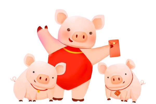 属鸡男孩命不强的原因与命运解析：探索其背后的深意与启示