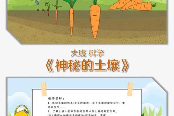 花园土壤与命运：探寻生命的土壤奥秘