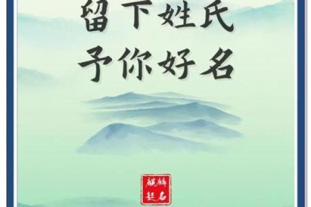 命名背后的秘密：揭示哪些名字让女生更显美丽与优雅