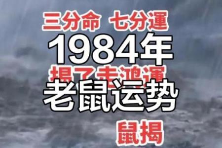 47岁属鼠的命运解析与生活智慧
