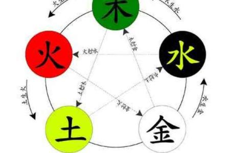 海中金命纹：如何找到最适合你的风水用品