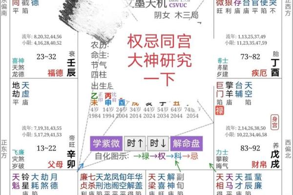 揭开乙巳甲戌甲子命运的神秘面纱，探索命理背后的智慧与启示
