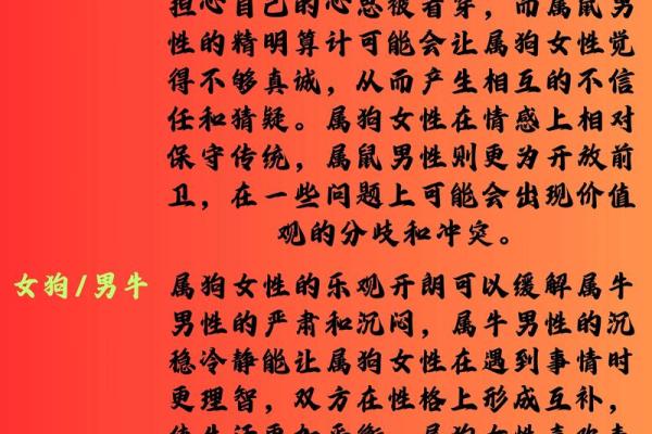 属狗命人的性格与命运分析：忠诚与智慧的结合