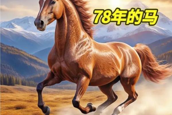 66年马是什么命什么星座？探索马儿的命运之旅！