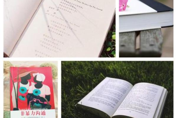 探秘石榴木：日元命中的自然灵魂与生命之力