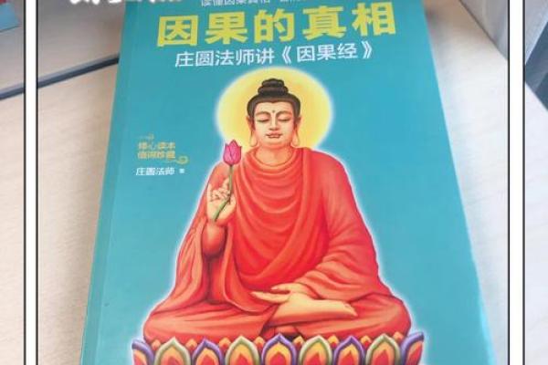 命运的轨迹：人生中的选择与因果