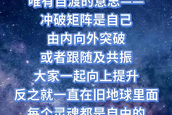 从命运中寻求自由：没有正夫命后的生活选择与自我成长