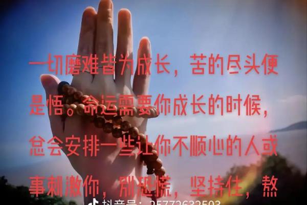 从命运中寻求自由：没有正夫命后的生活选择与自我成长