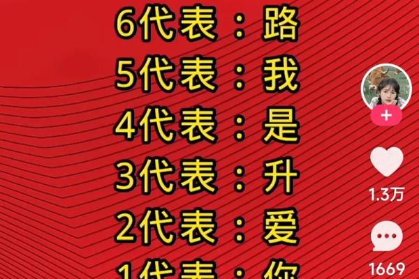 火命人士适合选择的车牌号码推荐与解析