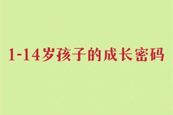 2024年生娃娃的命运解读：你孩子的未来将如何展开？