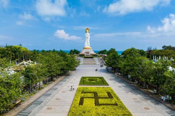 揭开大海水命的奥秘：与自然相合的生命之旅