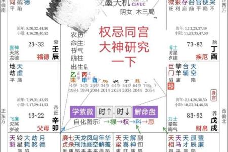 揭开乙巳甲戌甲子命运的神秘面纱，探索命理背后的智慧与启示