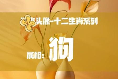 属狗命人的性格与命运分析：忠诚与智慧的结合