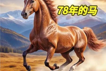 66年马是什么命什么星座？探索马儿的命运之旅！