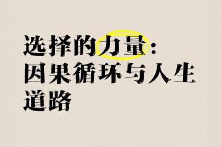 命运的轨迹：人生中的选择与因果