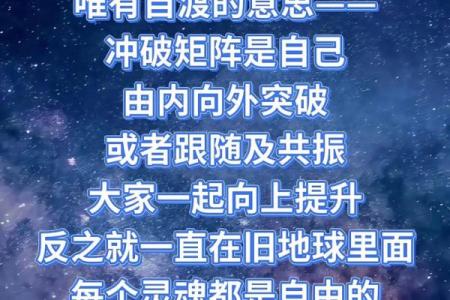从命运中寻求自由：没有正夫命后的生活选择与自我成长