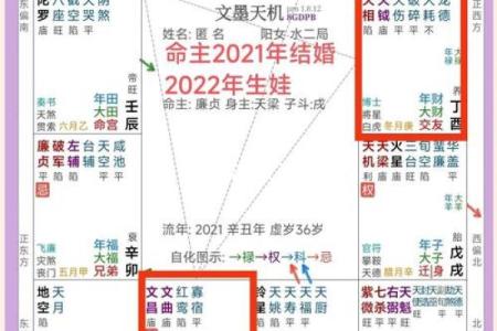 探寻命运：适合从事婚庆行业的命格解析与建议