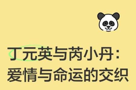 合婚中的命太强：爱与命运的交织与启示