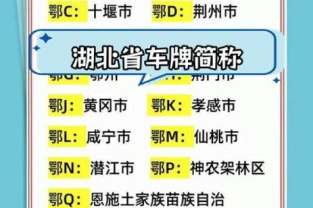 火命人士适合选择的车牌号码推荐与解析