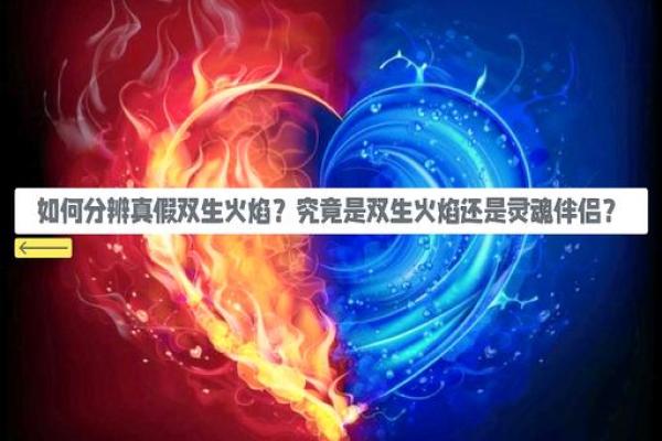 属相最佳配对：揭示命运中的双生火焰与神秘缘分