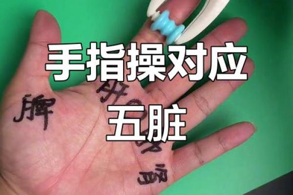 指甲与手指对齐的秘密：如何揭示命运的奥秘