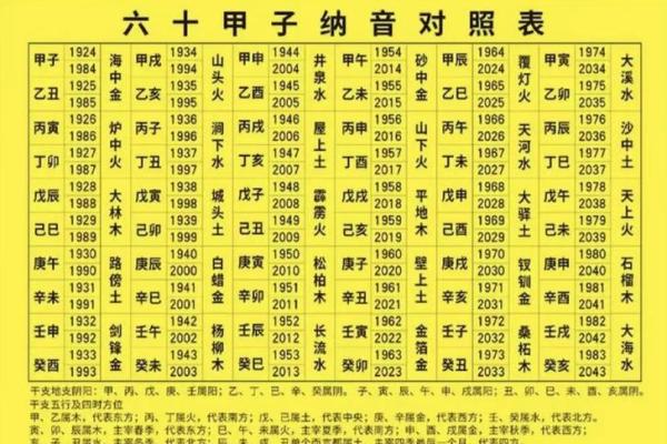 海中金命的数字密码与命理之道探秘