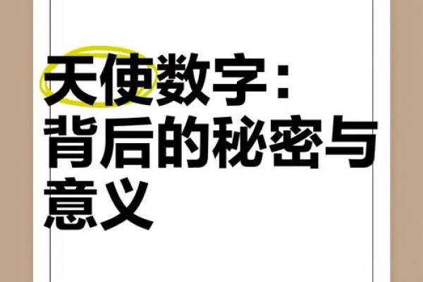 解密数字背后的秘密：数字命理学初探与应用