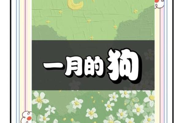 属狗人的最佳月份：揭示运势提升的秘密！