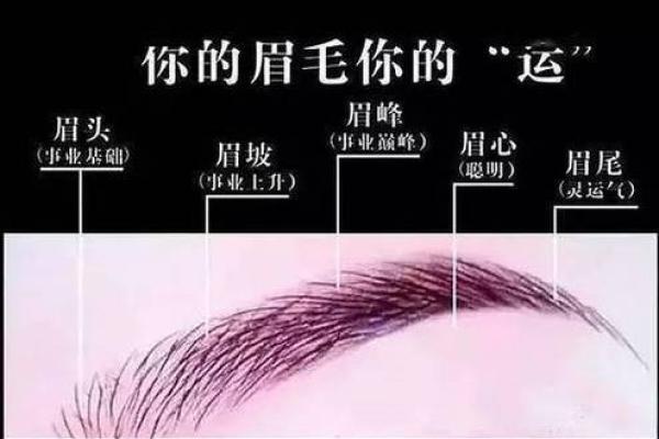 眉毛不浓密，揭示命运深层含义与性格特征