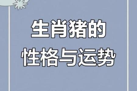 1973年出生的猪：生肖命运与人生之路的深度解析