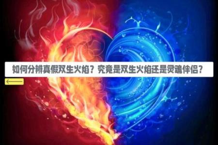 属相最佳配对：揭示命运中的双生火焰与神秘缘分